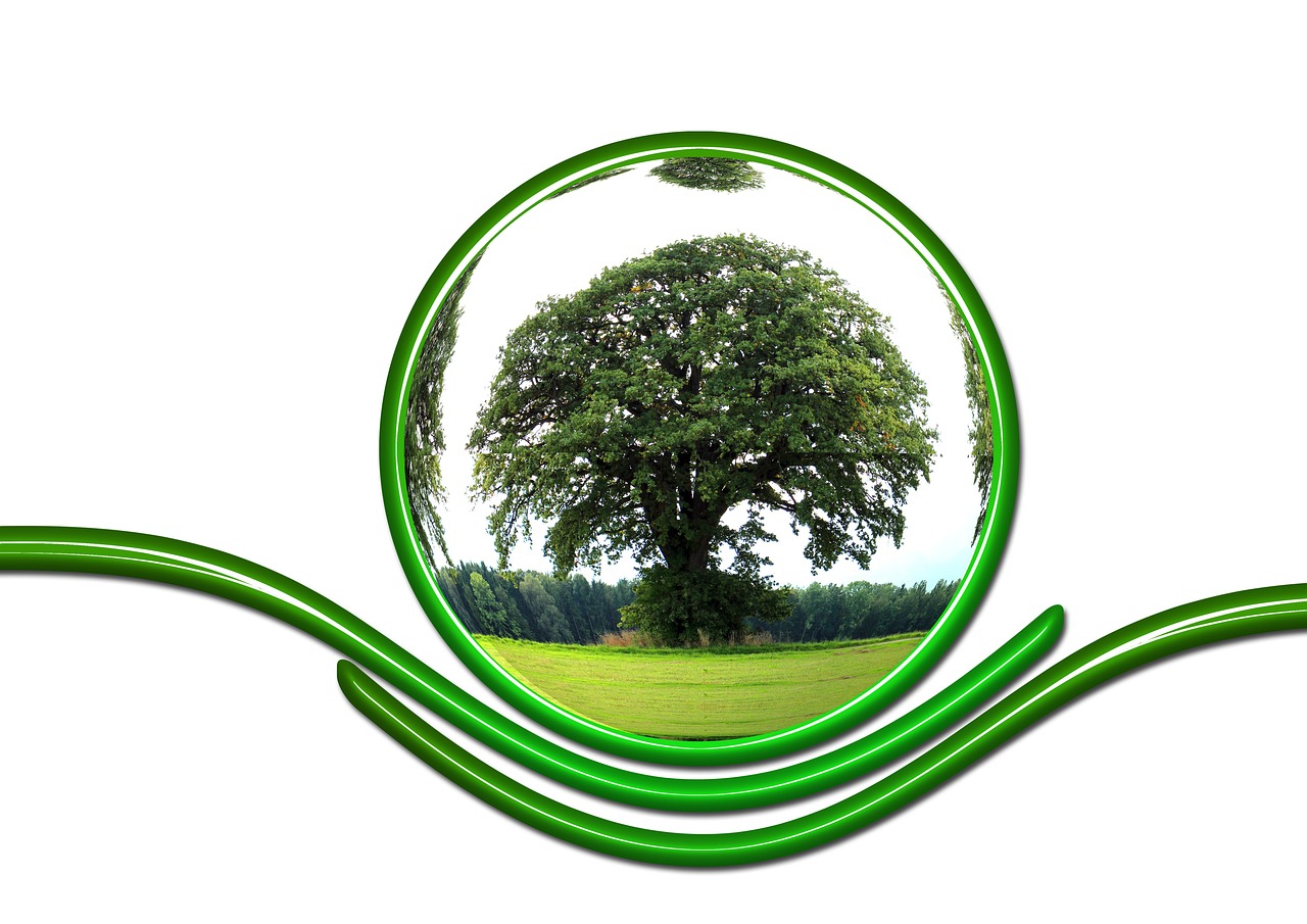 How to Create an Eco-Friendly Orchard in Your Backyard?